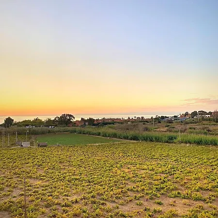 Vineyard Shores -